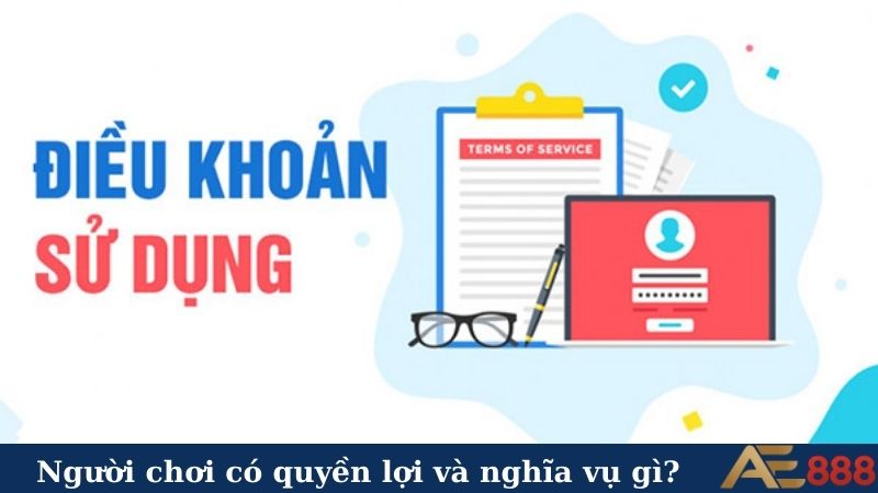Điều kiện điều khoản AE888 - Bí kíp quan trọng cần nắm vững 6 Người chơi có quyền lợi và nghĩa vụ gì?