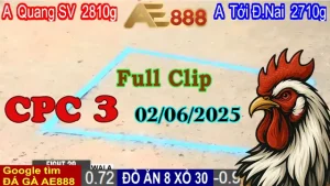 Full Clip Đá Gà Thomo C3 Ngày 02/06/2025