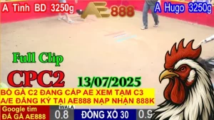 Full Clip Đá Gà Trực Tiếp Bồ C2 Ngày 13/07/2025