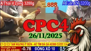 Trận Hot Xem Đá Gà Trực Tiếp Thomo CPC4 Hôm Nay 26112025