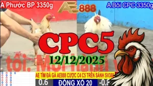 Clip Đá Gà CPC5 Ngày 12122025 – Trực Tiếp HD Xem Mượt