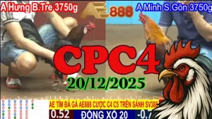 Đá Gà Trực Tiếp CPC4 Ngày 20122025 Không Giật Lag