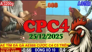 Phát Trực Tiếp CPC4 25122025 – Đá Gà Hôm Nay