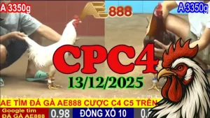 Xem Đá Gà Trực Tiếp CPC4 Hôm Nay 13122025 Không Quảng Cáo