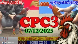 Xem lại trực tiếp đá gà Thomo CPC3 hôm nay 07/12/2025 full trận phát lại