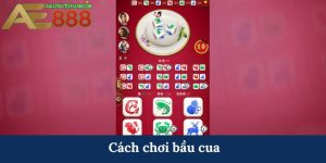 cách chơi bầu cua