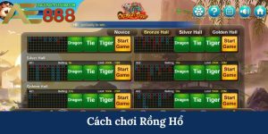 cách chơi rồng hổ